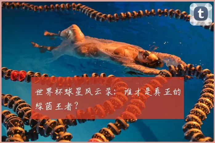 世界杯球星风云录:谁才是真正的绿茵王者?