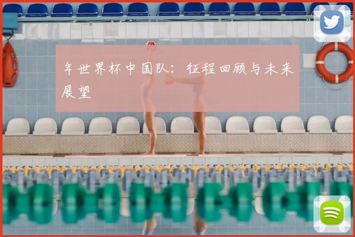 年世界杯中国队：征程回顾与未来展望
