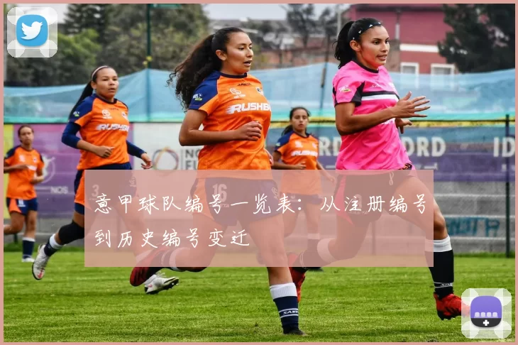 意甲球队编号一览表：从注册编号到历史编号变迁