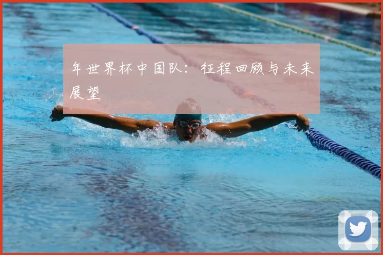 年世界杯中国队：征程回顾与未来展望