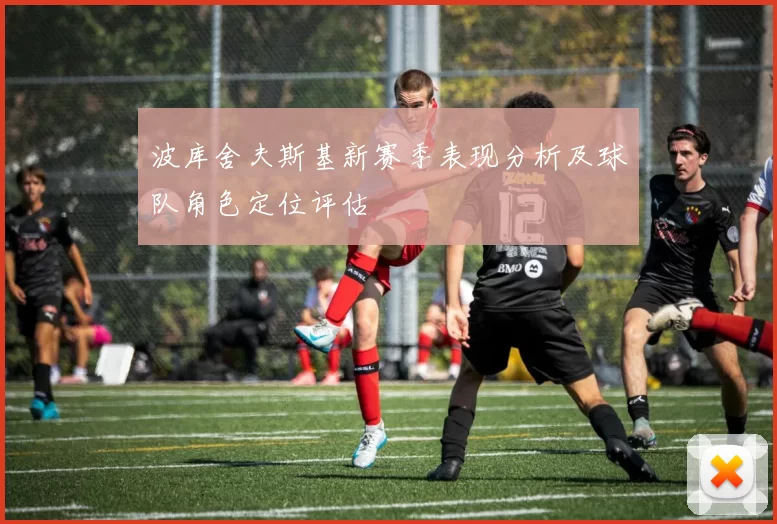 波库舍夫斯基新赛季表现分析及球队角色定位评估