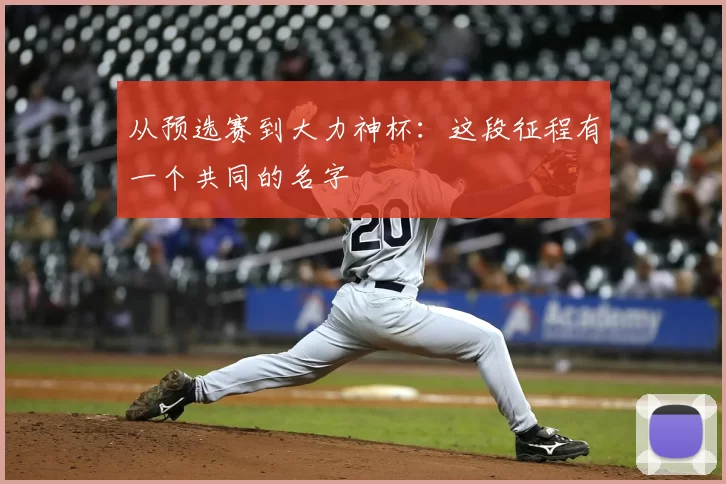 从预选赛到大力神杯:这段征程有一个共同的名字