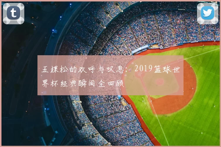 五棵松的欢呼与叹息:2019篮球世界杯经典瞬间全回顾