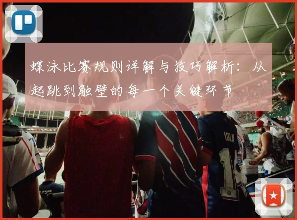 蝶泳比赛规则详解与技巧解析：从起跳到触壁的每一个关键环节