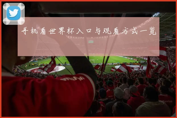 手机看世界杯入口与观看方式一览