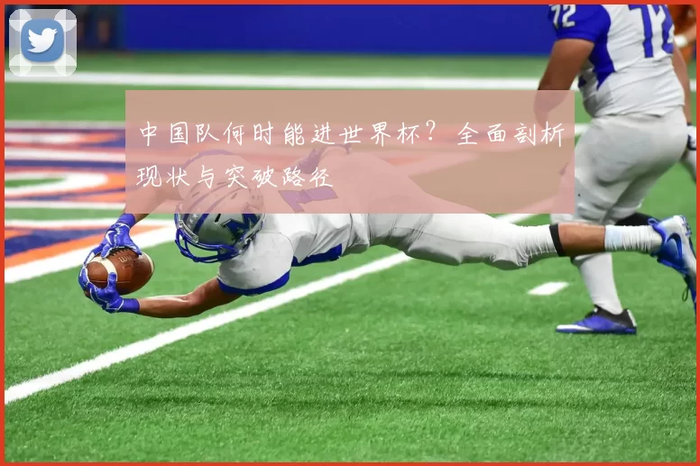 中国队何时能进世界杯?全面剖析现状与突破路径