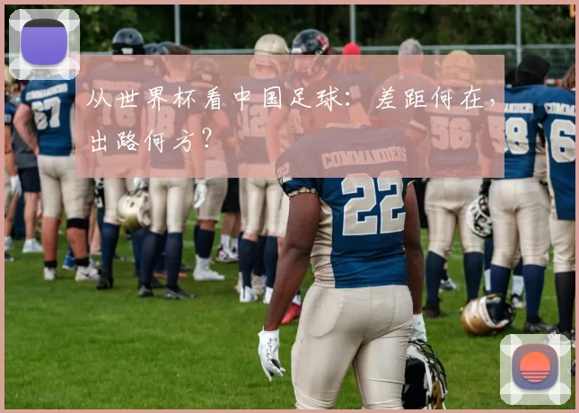 从世界杯看中国足球:差距何在,出路何方?