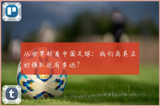 从世界杯看中国足球:我们离真正的强队还有多远?