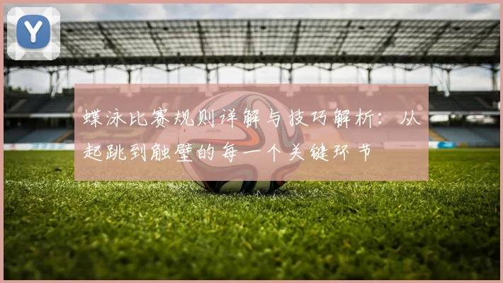 蝶泳比赛规则详解与技巧解析：从起跳到触壁的每一个关键环节