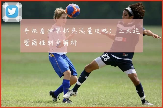 手机看世界杯免流量攻略：三大运营商福利全解析
