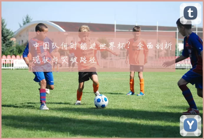 中国队何时能进世界杯?全面剖析现状与突破路径