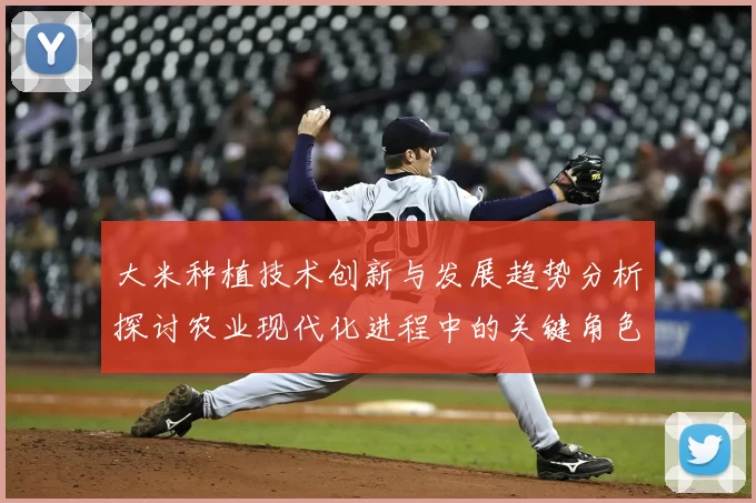 大米种植技术创新与发展趋势分析探讨农业现代化进程中的关键角色