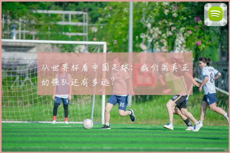 从世界杯看中国足球:我们离真正的强队还有多远?
