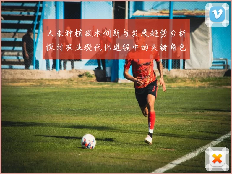 大米种植技术创新与发展趋势分析探讨农业现代化进程中的关键角色