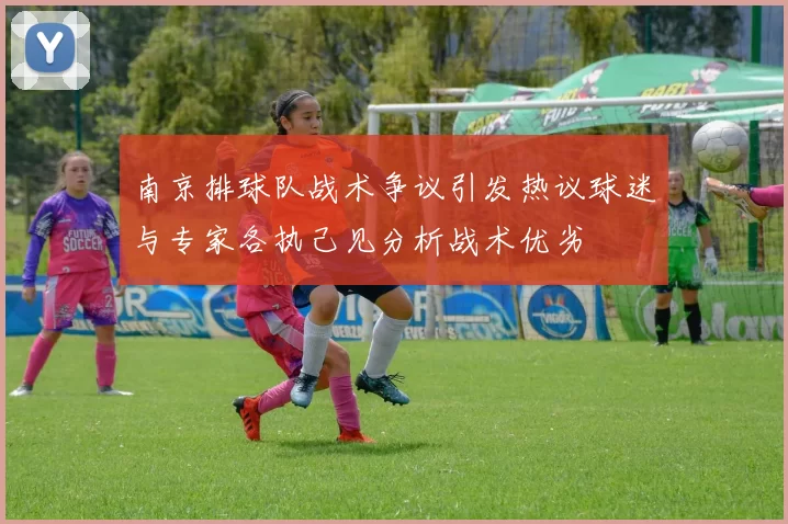 南京排球队战术争议引发热议球迷与专家各执己见分析战术优劣