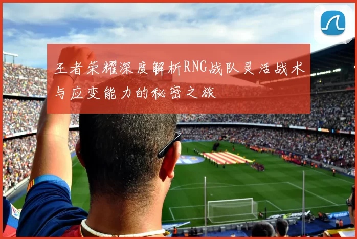 王者荣耀深度解析RNG战队灵活战术与应变能力的秘密之旅