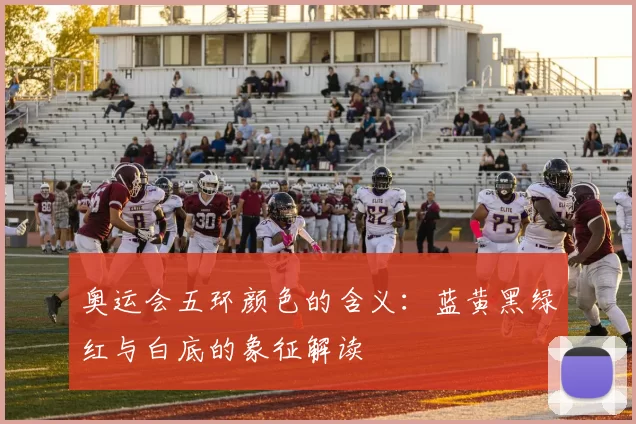 奥运会五环颜色的含义:蓝黄黑绿红与白底的象征解读