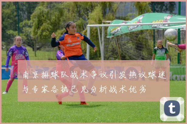 南京排球队战术争议引发热议球迷与专家各执己见分析战术优劣