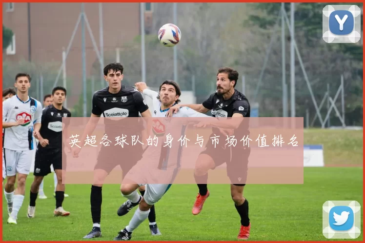 英超各球队的身价与市场价值排名